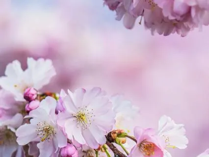 Ostara Mindfulness Meditation – Spring Equinox