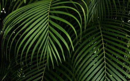 От Стресса. Как Снять Тревожность?