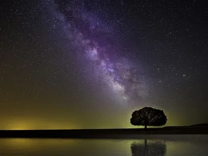 Other Lives - Mind Exploration