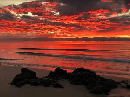 Ecstatic Dance Mix "Otopic" W/ Mr. Malone