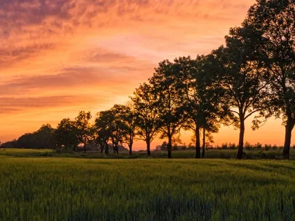 Отпускание Страхов и Блоков