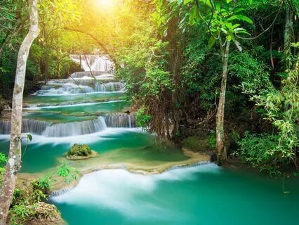 Otto 128 Hz Tuning Fork For Natural Pain Relief (Alpha)