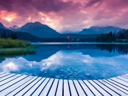 Otto 128 Hz Tuning Fork For Natural Pain Relief (Delta)