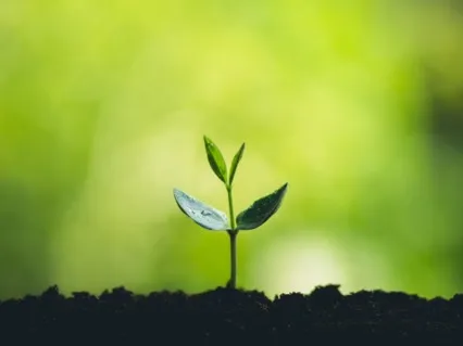 Ответ на Ваш Вопрос