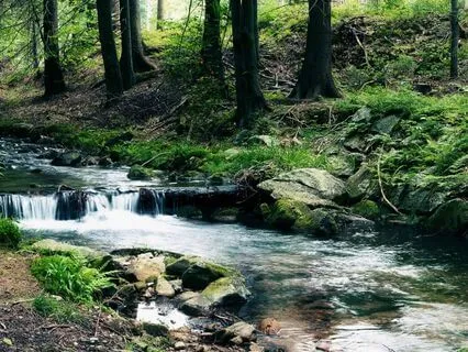 Oud In The Forest - Part 9