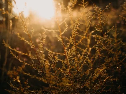 Our Breath Is Always With Us