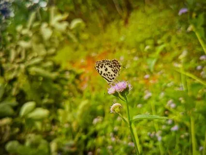 Our Call To Presence