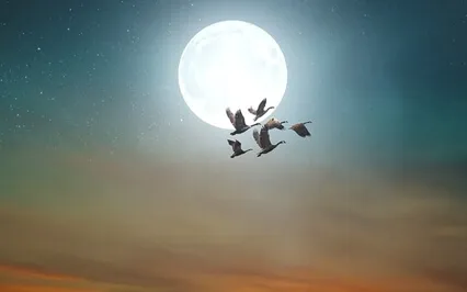 Our Day As Sacred – A Contemplative Prayer Practice