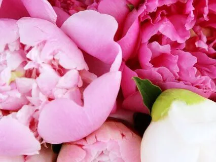 Our Deep Internal Decisions Matter More Than We Know