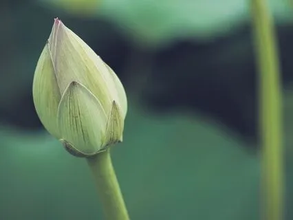 Our Deepest Fear Is ...That We Are Powerful Beyond Measure