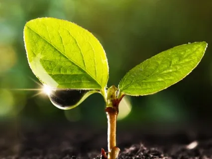 Our Empowerment Comes From This Moment | Guided Meditation