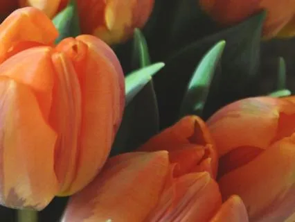 Our Greatest Power Is...