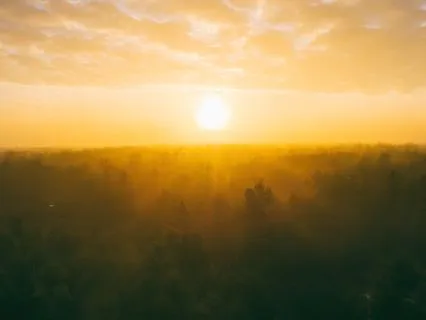 Our Hearts Story Poetree - Healing Spell