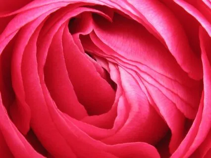 Our Inner Buddha Baby