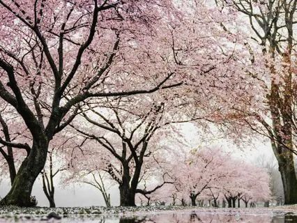 Our Mind As An Instrument Of Awareness