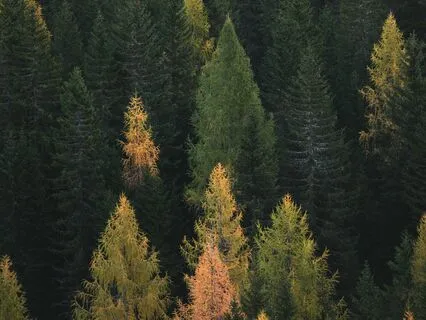 Our Relationship With The Earth