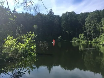 Our Shared Experience With Gravity