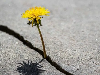 Our Spiritual Evolution And Money