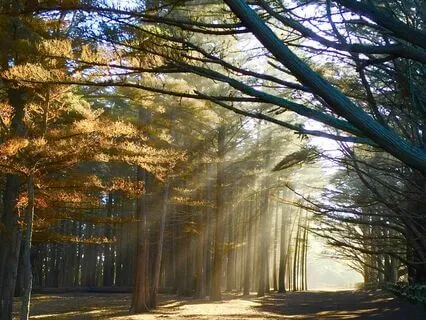 Our Tantric Path: Listening Within For Guidance