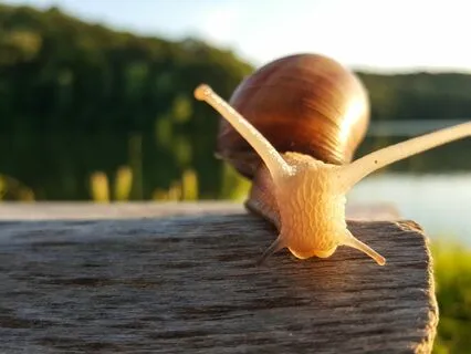 Our Tantric Path: Slowing Down To The Speed Of Life