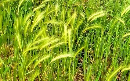 Our Thinking About Things Creates Stress