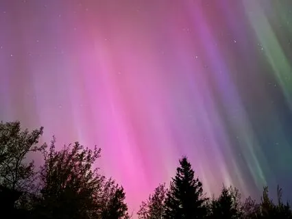 Our Tribe A Tribute To Our Fur Babies & Tribe