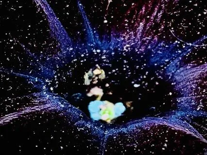 Our Visit To The Nature Sanctuary