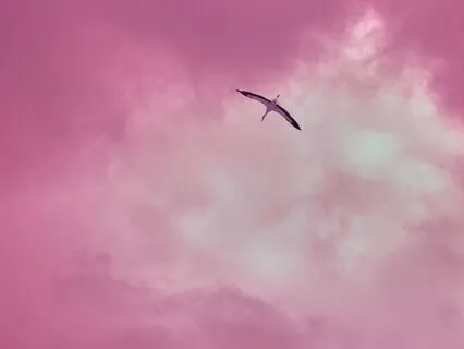 Out Of My Deeper Heart | Khalil Gibran Poem
