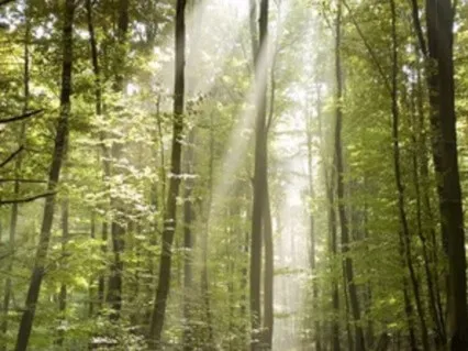 Out Of the Box Thinking