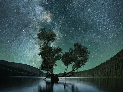 Out Of This World Dreaming