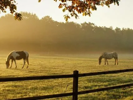 Outdoor Relaxing Soundbath Live At The Farm