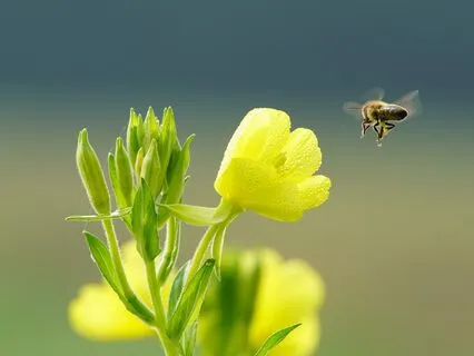 Outdoor Spring Equinox Mindfulness And Meditation