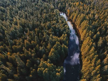 Outer Entanglements And Inner Feelings