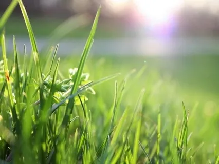 Outside Grounding Meditation 