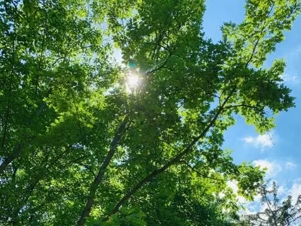 Outside In Meditation