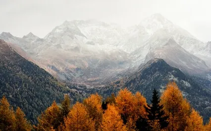 Over-Giving & Over-Functioning