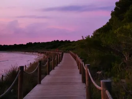 Over The Pink Horizon