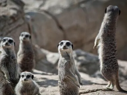 Overcome Adversity: Love Family