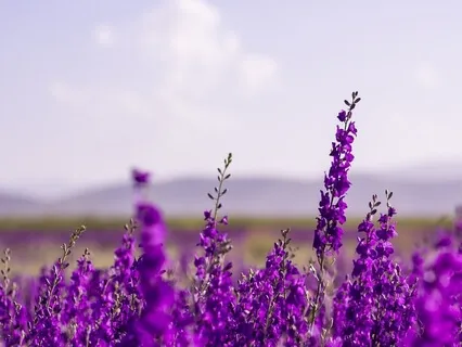 Overcome Anger & Addiction With Mindfulness Meditation