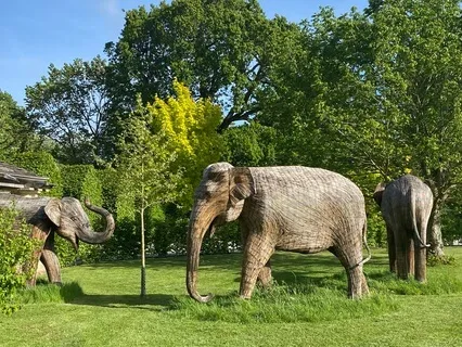 Overcome Anxiety & Panic Attacks