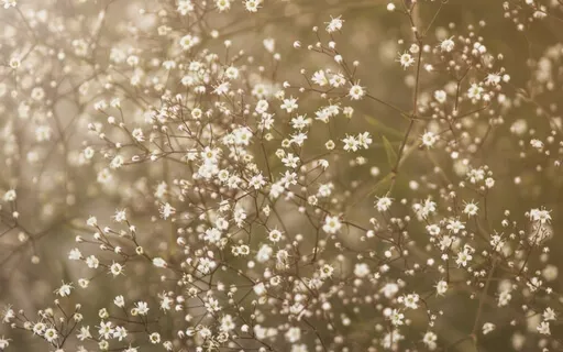 Overcome Anxiety & Stress With Breath