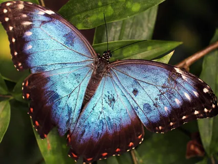 Overcome Anxiety, Fear, And Doubt