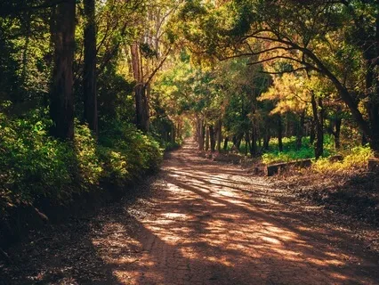 Overcome Anxiety: Soothing Breathing Meditation