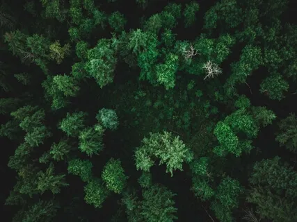 Overcome Childhood Trauma And Love Yourself