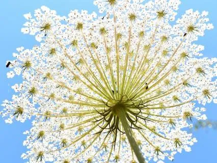 Overcome Chronic Worrying Meditation