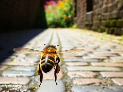 Overcome Emotional Lows (Bye-Bye Depression)