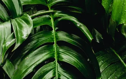 Overcome Fear And Anxiety With 174 Hz Music