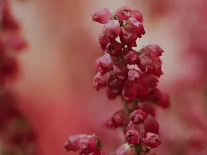 Overcome Fear Of Failure