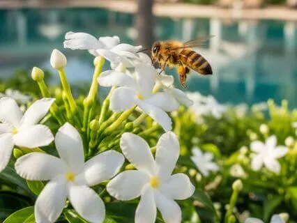 Overcome Fear Of Rejection