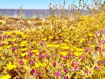 Overcome Heartbreak Affirmations